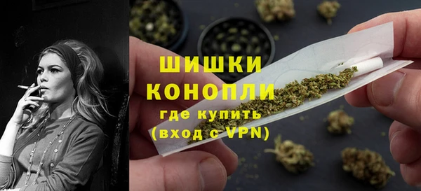 молекула духа Арсеньев