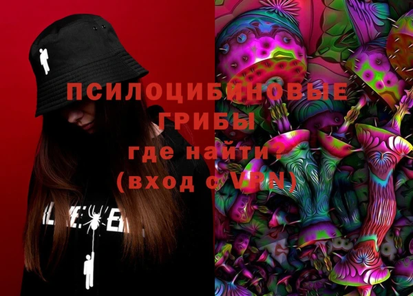 молекула духа Арсеньев
