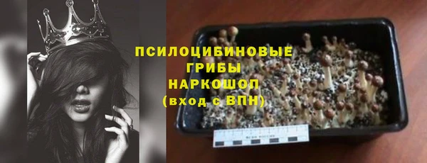 гидра Аркадак