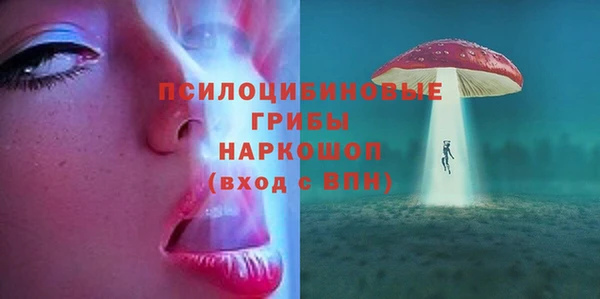 гидра Аркадак