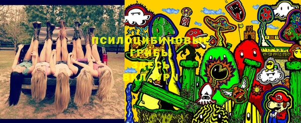 молекула духа Арсеньев