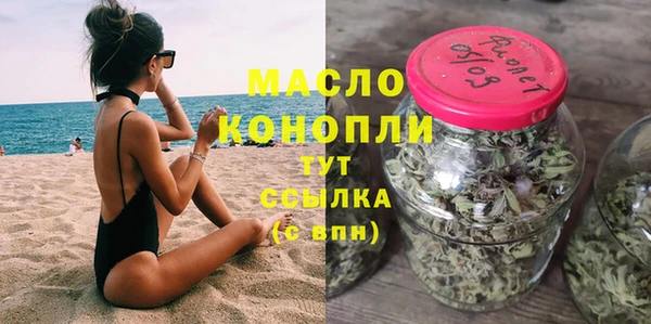 молекула духа Арсеньев