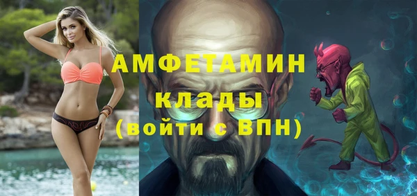 молекула духа Арсеньев